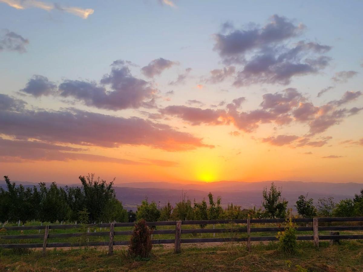 Casa David Villa Plai  Dış mekan fotoğraf