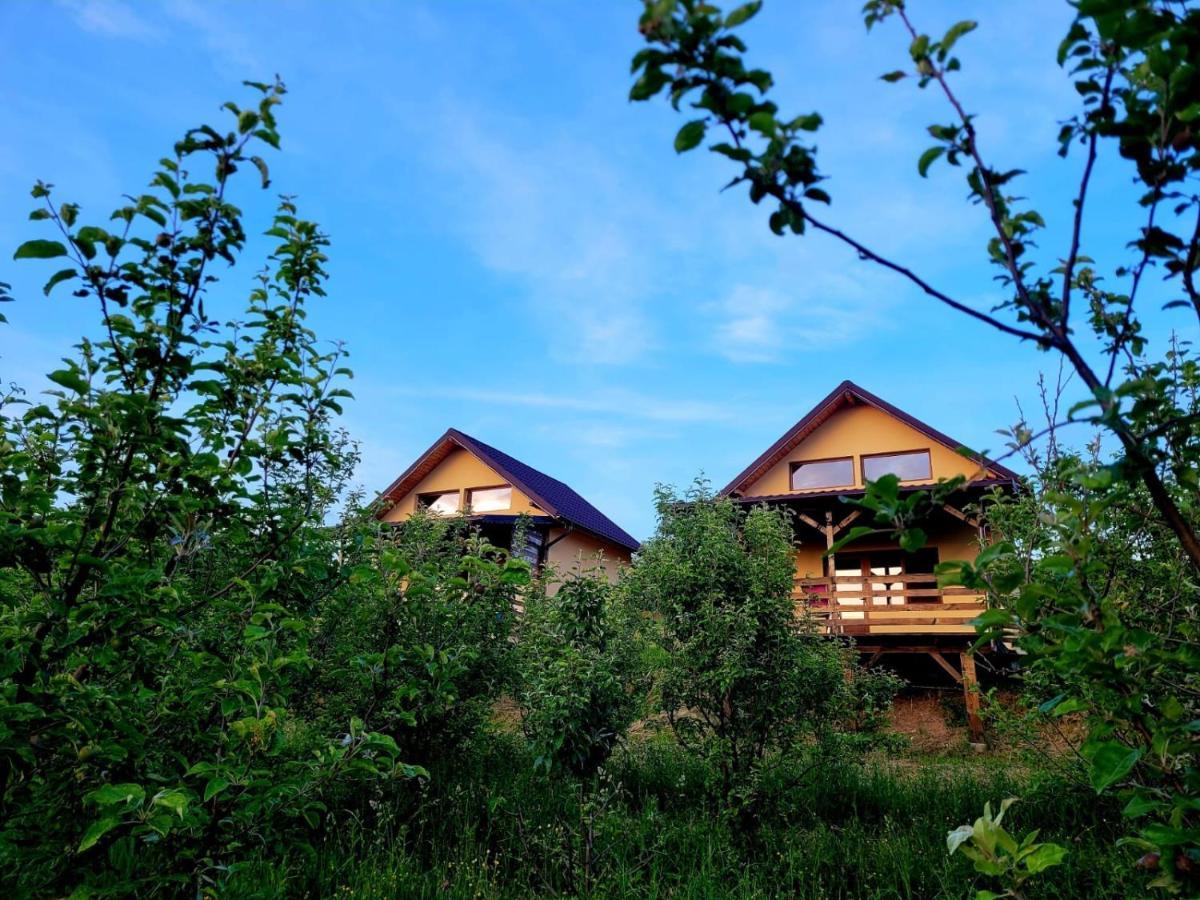 Casa David Villa Plai  Dış mekan fotoğraf