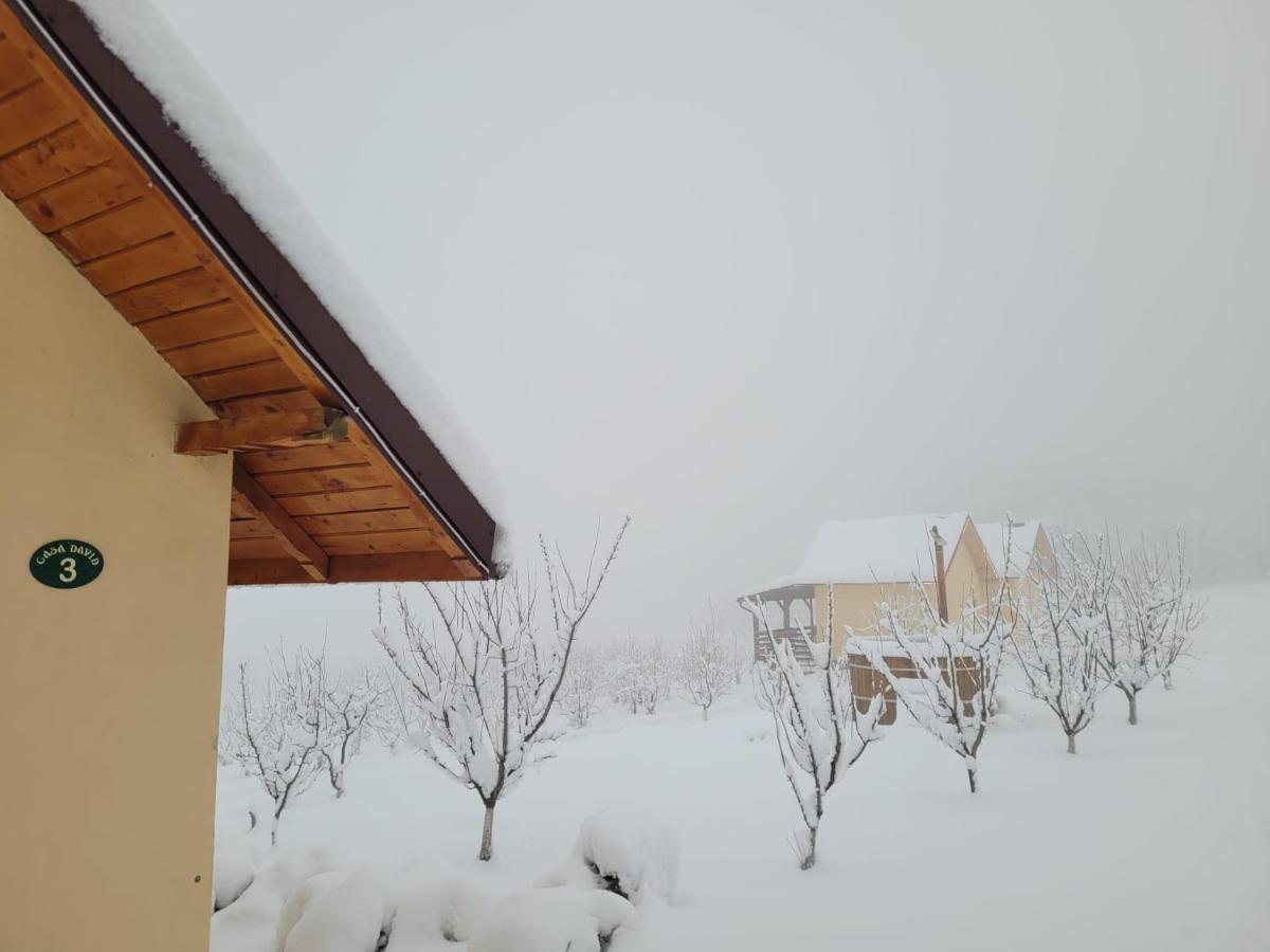 Casa David Villa Plai  Dış mekan fotoğraf