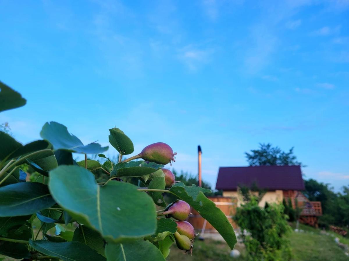 Casa David Villa Plai  Dış mekan fotoğraf