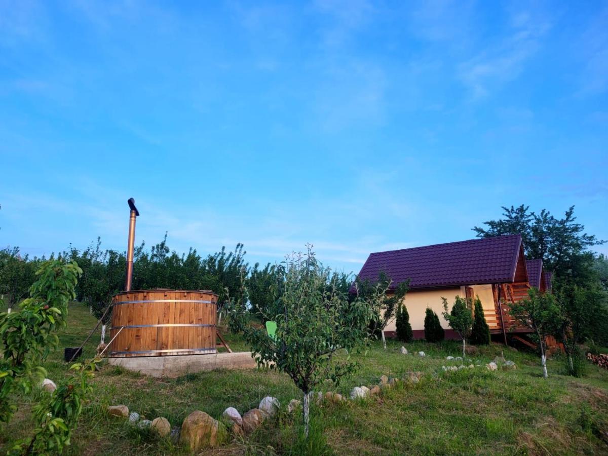 Casa David Villa Plai  Dış mekan fotoğraf