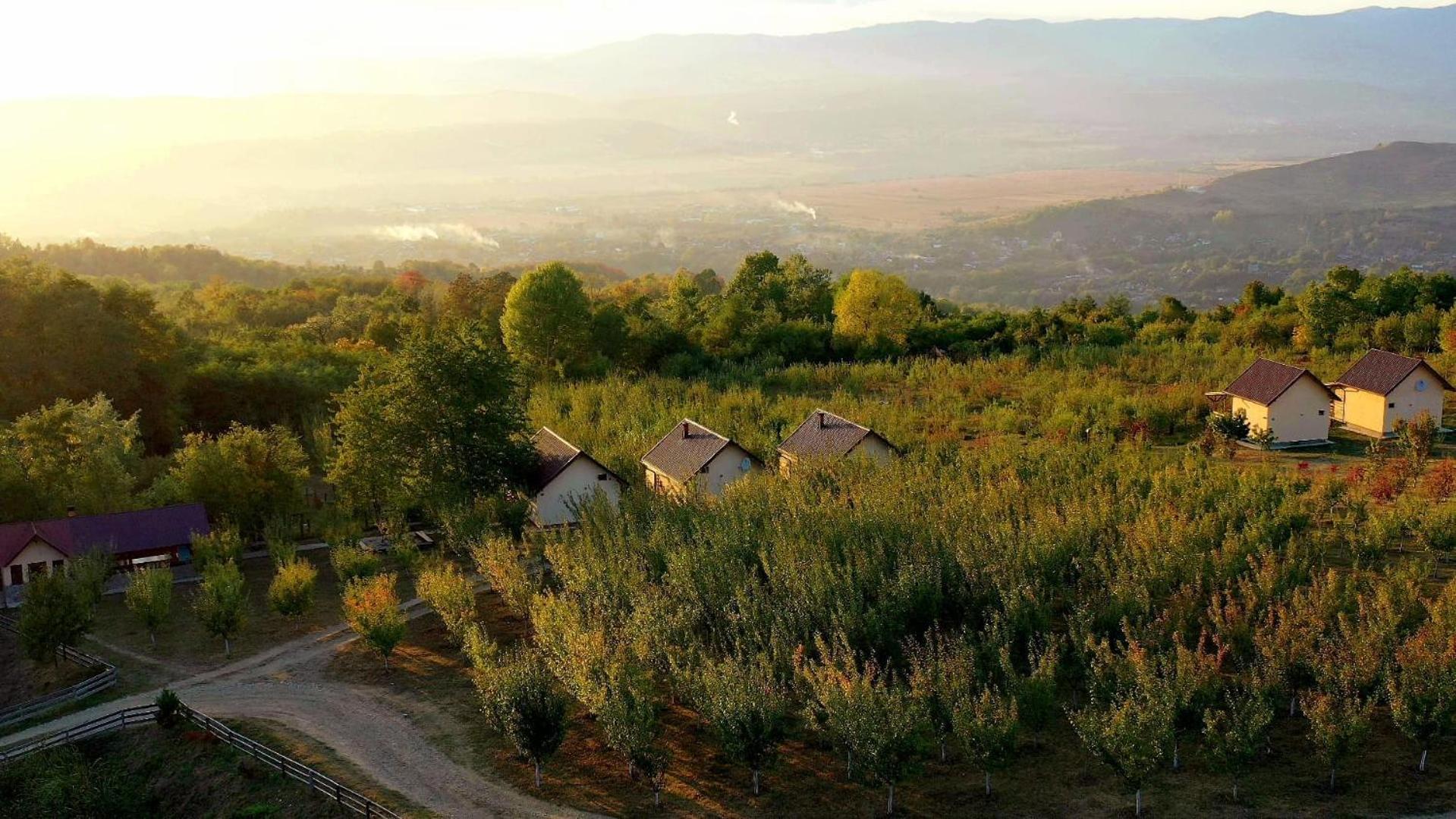 Casa David Villa Plai  Dış mekan fotoğraf