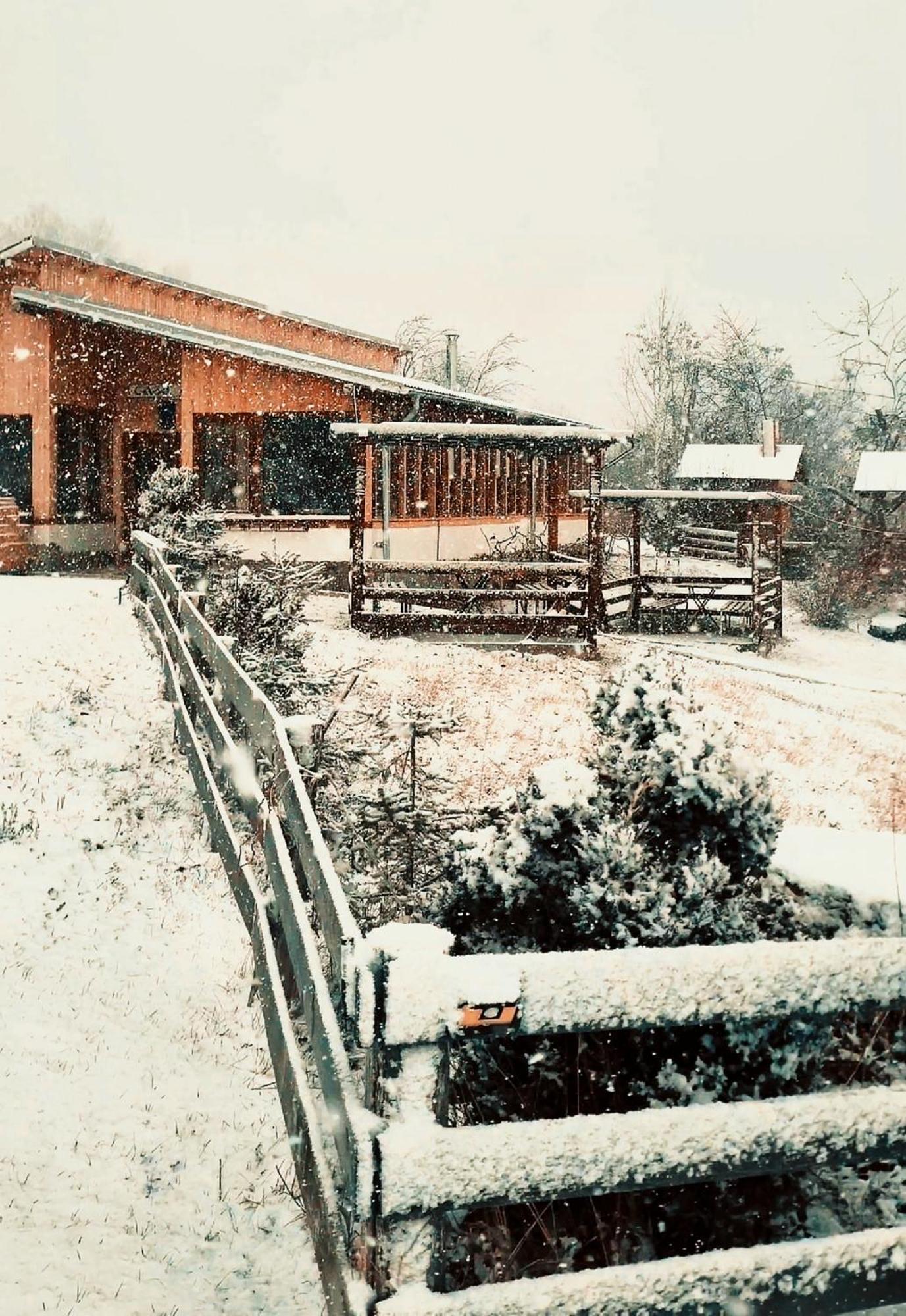 Casa David Villa Plai  Dış mekan fotoğraf
