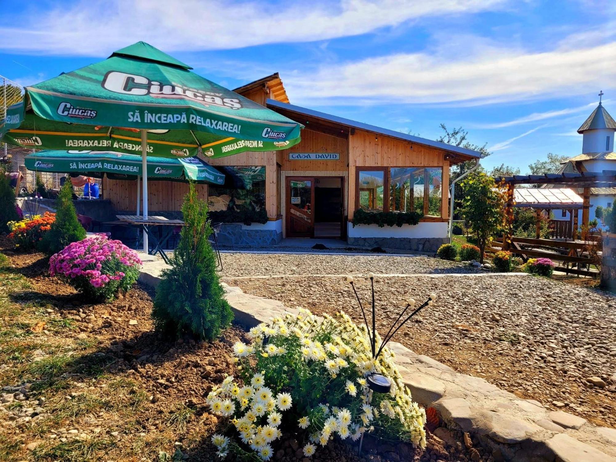 Casa David Villa Plai  Dış mekan fotoğraf